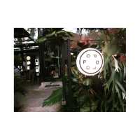 Papolo, One of the best coffee house