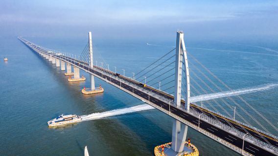 Shenzhen Private Guided 1-Day Tour Happy Harbor Sea World Greater Bay Area No. 1 (Hong Kong-Zhuhai-Macao Bridge Route)