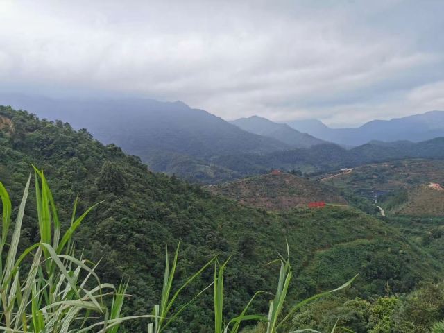 Luoding Longwan Ecological Tourism Area (Jiulong Waterfalls)