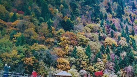 米亚罗风景区秋景很美很漂亮,彩林美极了,人间仙境一般,就像进