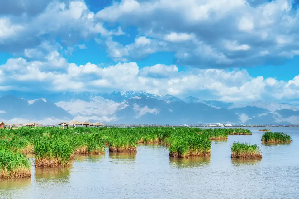 4_Sand Lake