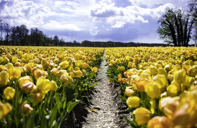 Отели с услугой бассейном в г. Яньчэн