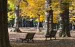 Yoyogi Park