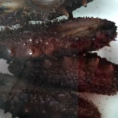 WANG SHI HUO GUO XIAO GUAN HUAN HAI DIAN User Photo