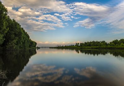 Shengxihu Wetland Park