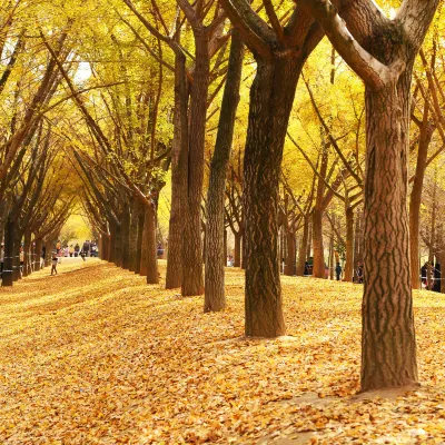 Auberges de jeunesse à Pizhou