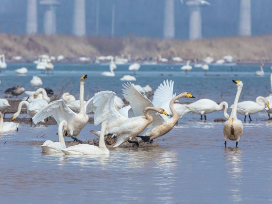 Baishi Reservoir