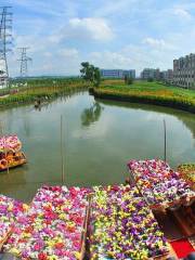 麻湧花海漂游親水平台碼頭