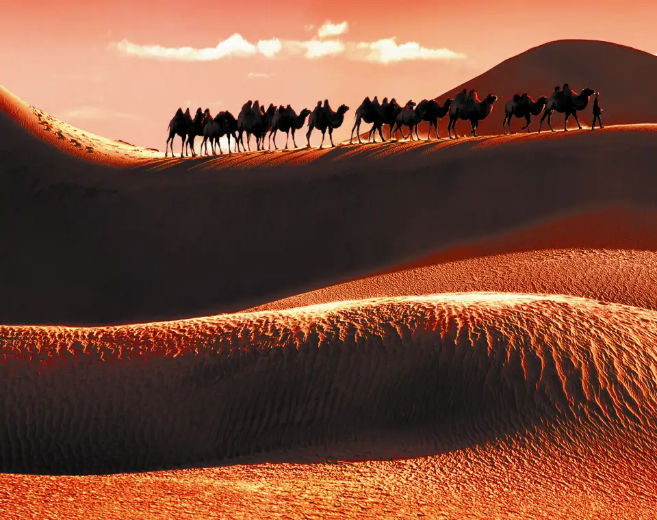 3_Tukai Desert