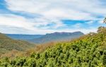 Blue Mountains National Park