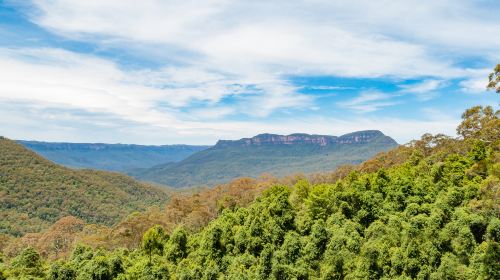 Blue Mountains National Park