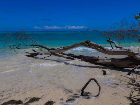 Sipadan Island