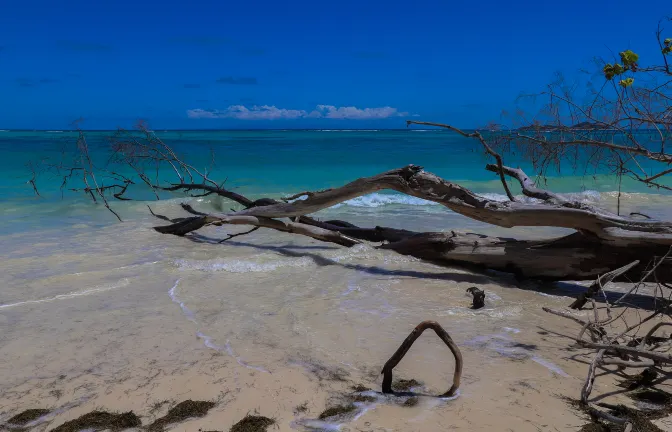 Отели с услугой Интернет в г. Тавау