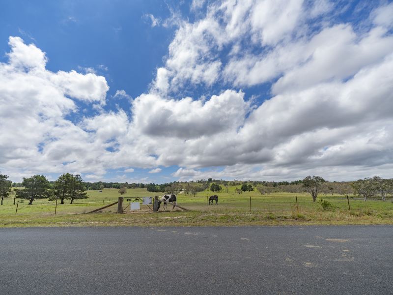 Subohan Grasslands