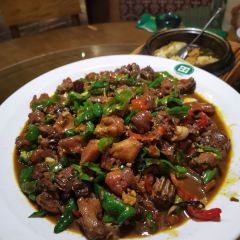 LAO TIAN JIA LA ZI JI User Photo