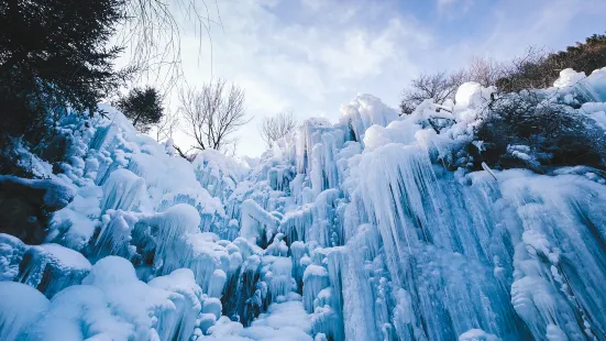 구룡산 관광지구