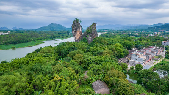 Fish King Stone