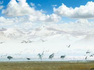 Qinghai Lake Fairy Bay