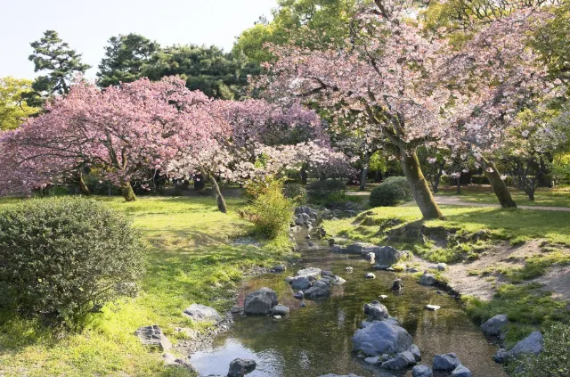 【保存版】京都の観光ガイドブック！京都観光ならここで決まり