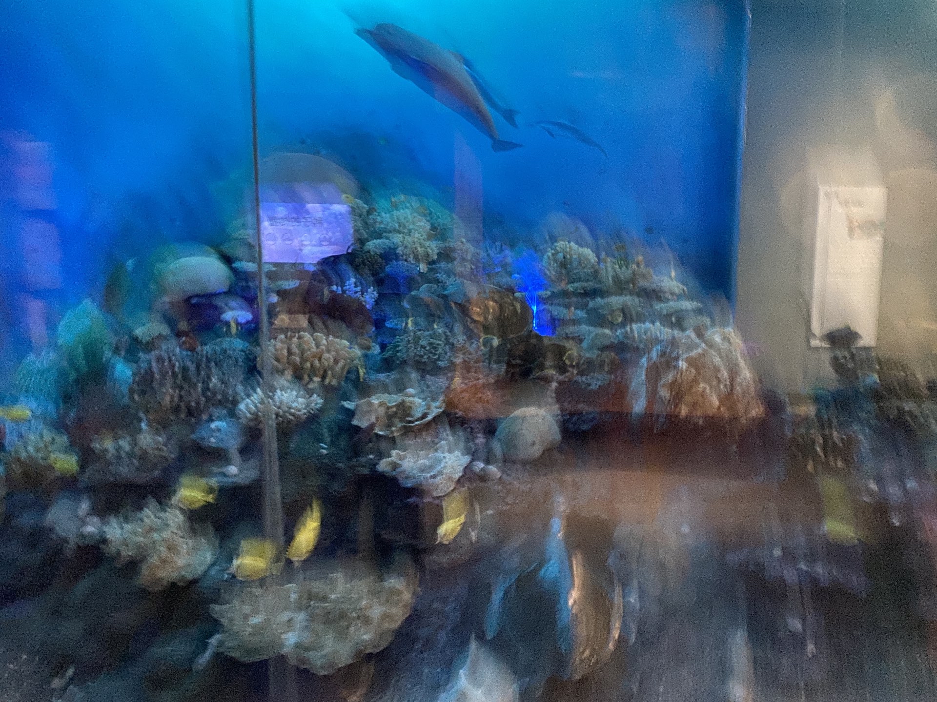 杭州 浙江自然博物館 評判 案内 トリップドットコム