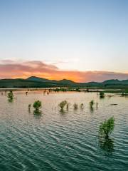 Fosi Reservoir