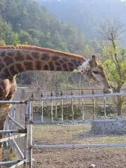 温嶺動物園