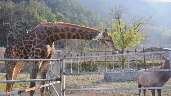 温嶺動物園