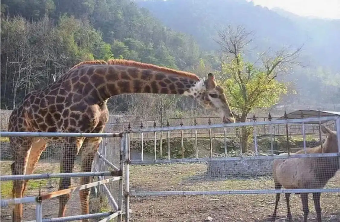 Hotels near Wenling Zoo