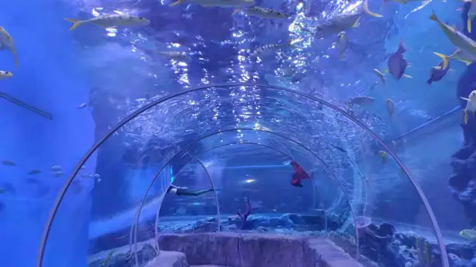 3_平頂山海洋館