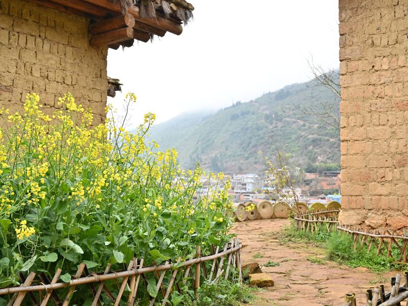 Chengzi Ancient Village