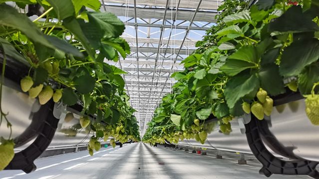 จุดชมวิวเทียนโฟ