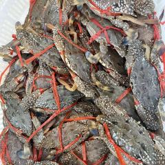 亚仕海鲜饭店 User Photo