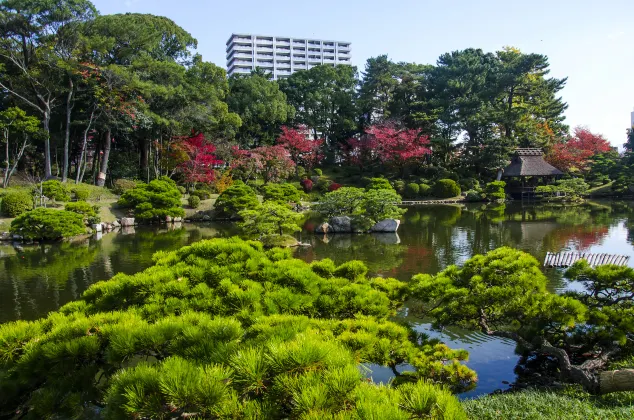 Hotel Bintang 5 di Hatsukaichi