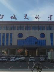 Baicheng Culture Center