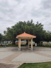 Recreation Area in Dongjiang Ecological Garden