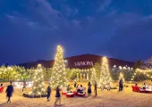 서울 근교 당일치기로 크리스마스 포토존 정복하기🎅
