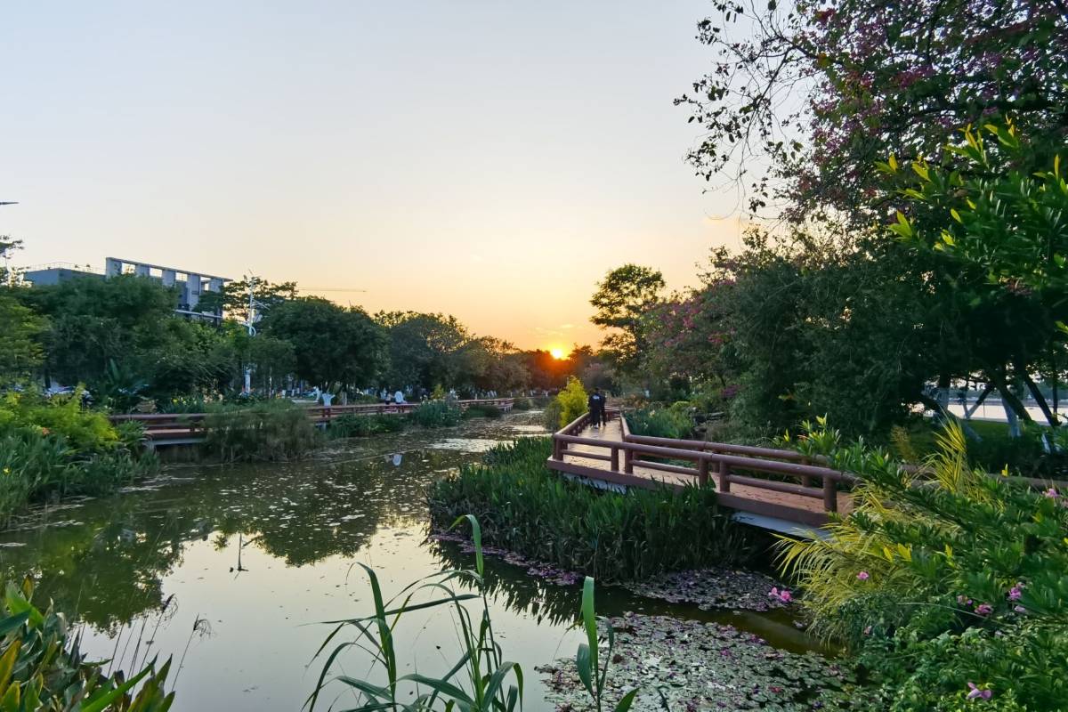 廣州海島 | 官洲島 (Guanzhou Island) / 廣州國際生物島