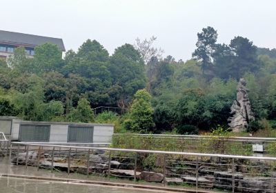 สวนสาธารณะจินเซียชาน