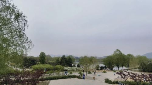 West Area of Yanjiao Riverside Forest Park