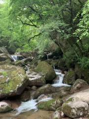 Национальный водно-болотный парк Чжан-Лука