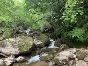 Национальный водно-болотный парк Чжан-Лука
