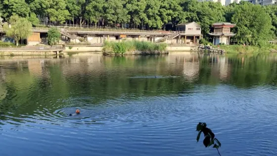 潛山國家森林公園