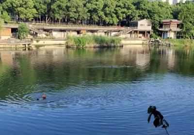 Laoshan National Park