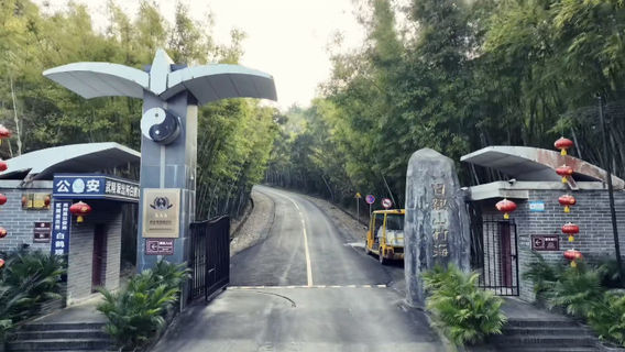 Bamboo Forest, Baihe Temple