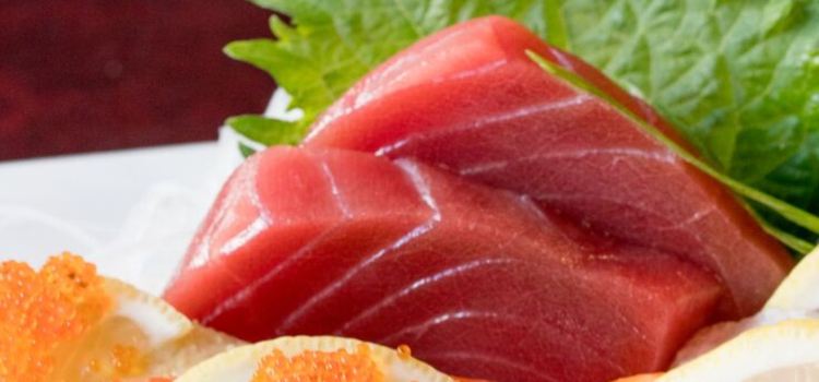 Live Sushi Bar