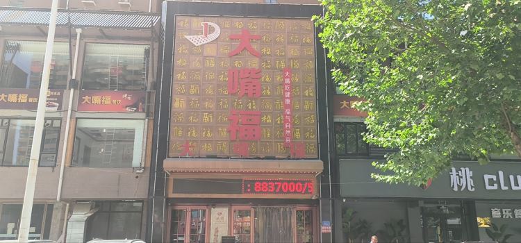 DA ZUI FU YI XIAN DIAN