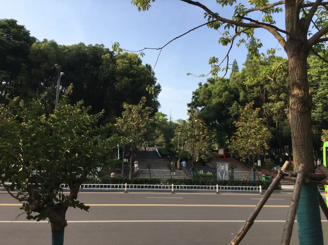 Hotels near Fire Monkey Mountain