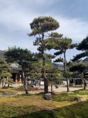 Donghaichan Temple