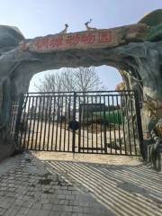 桐城動物園