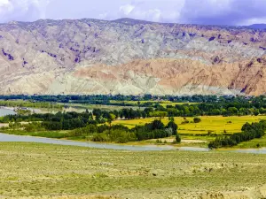Qingqing Yellow River Scenic Area